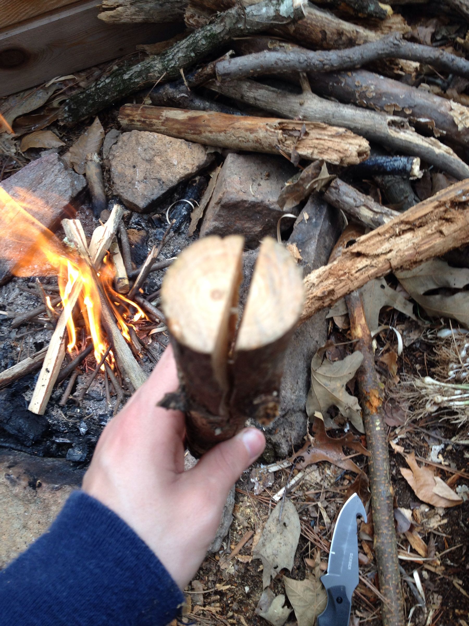 Cooking Wild Onions 4 Steps Instructables