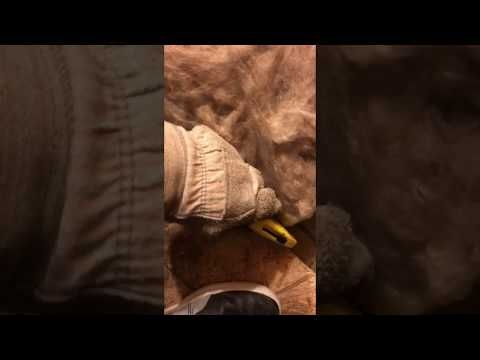 Cutting Fiberglass Insulation