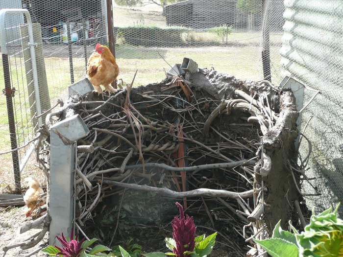 Make a Chicken Coop From Farm Junk