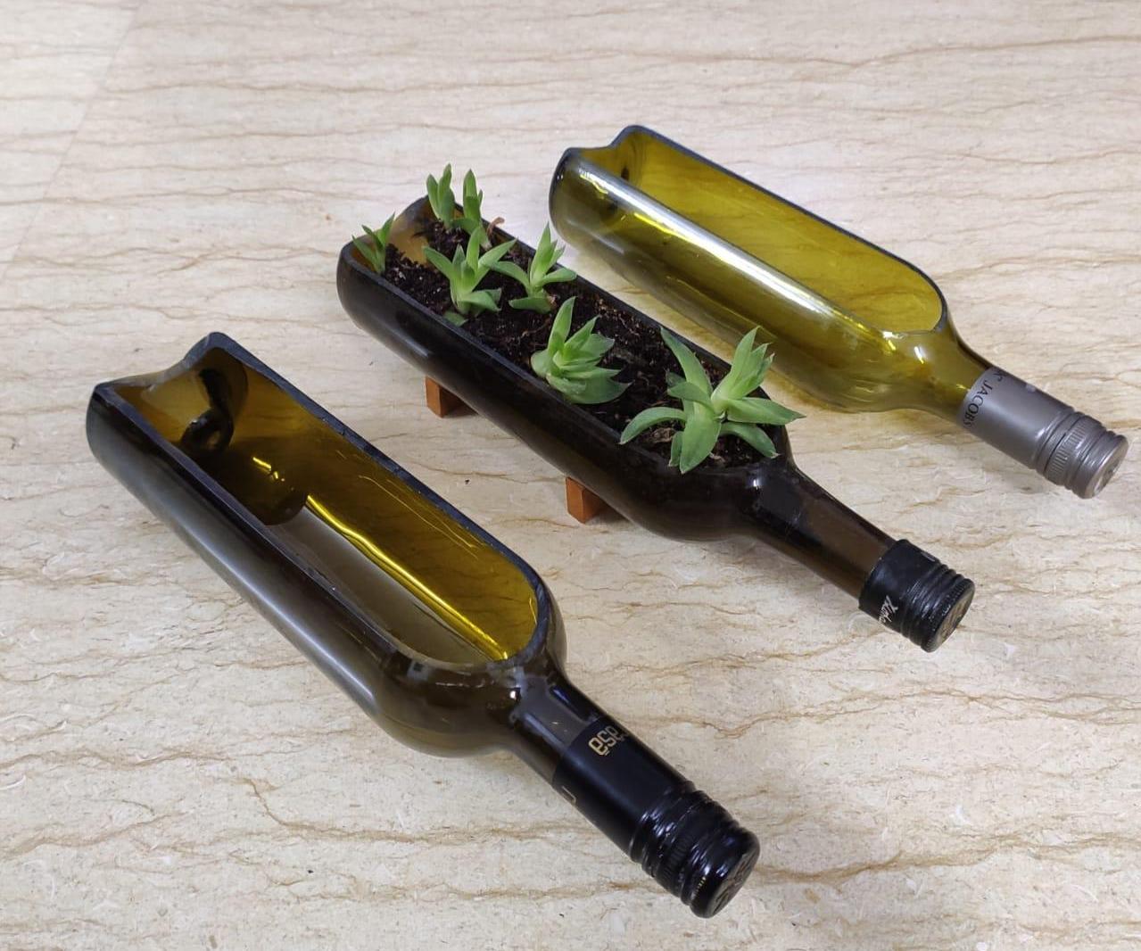 Glass Bottle Planter 5 Steps Instructables