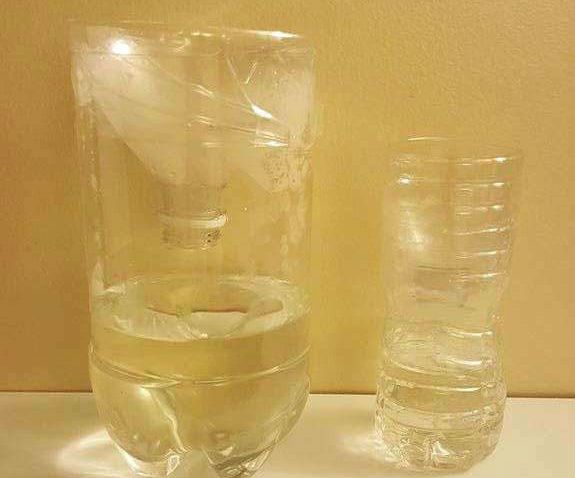 Why You Should Make a Mosquito Trap