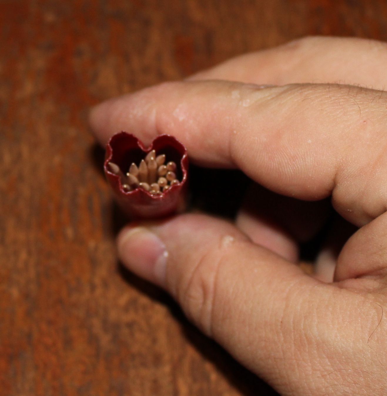 Redneck Toothpick Carrier Instructables