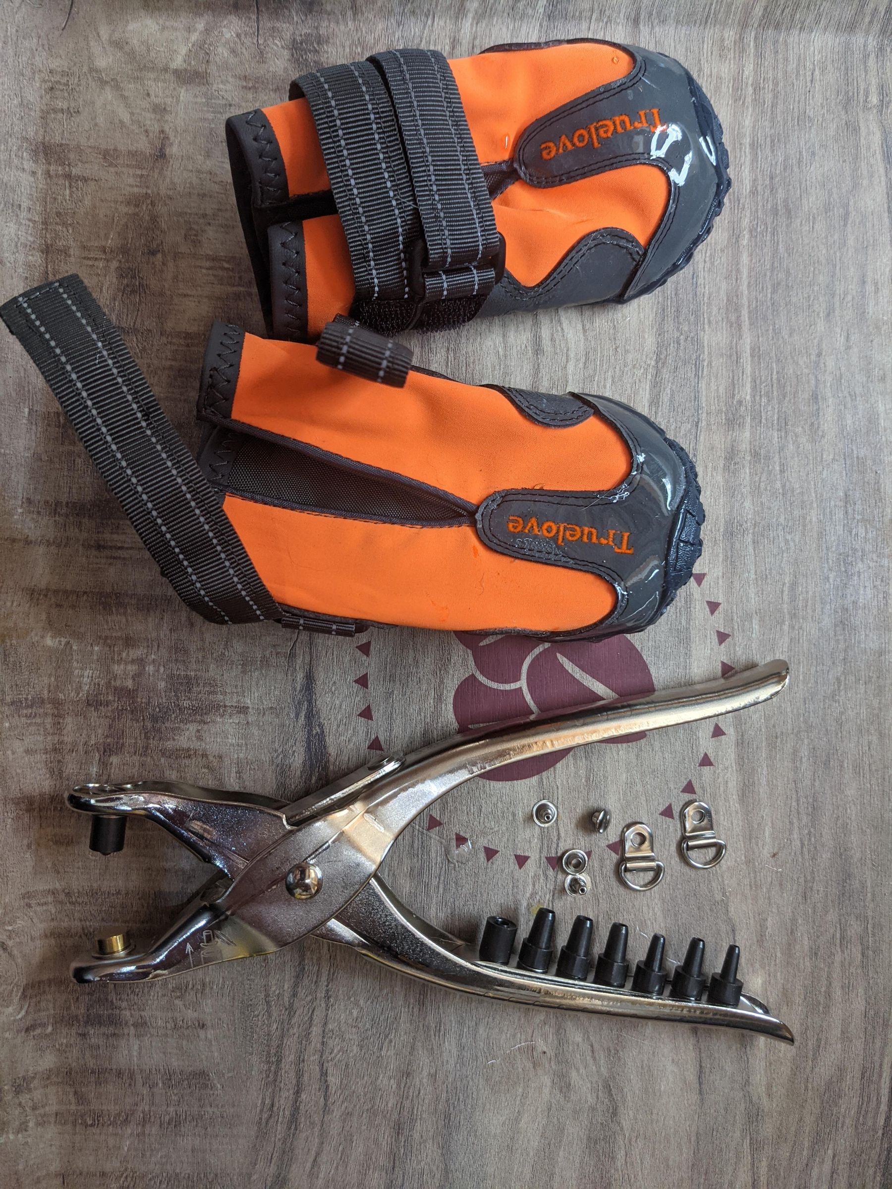 AntiKnucking Shoes for Dogs With Degenerative Myelopathy 7 Steps