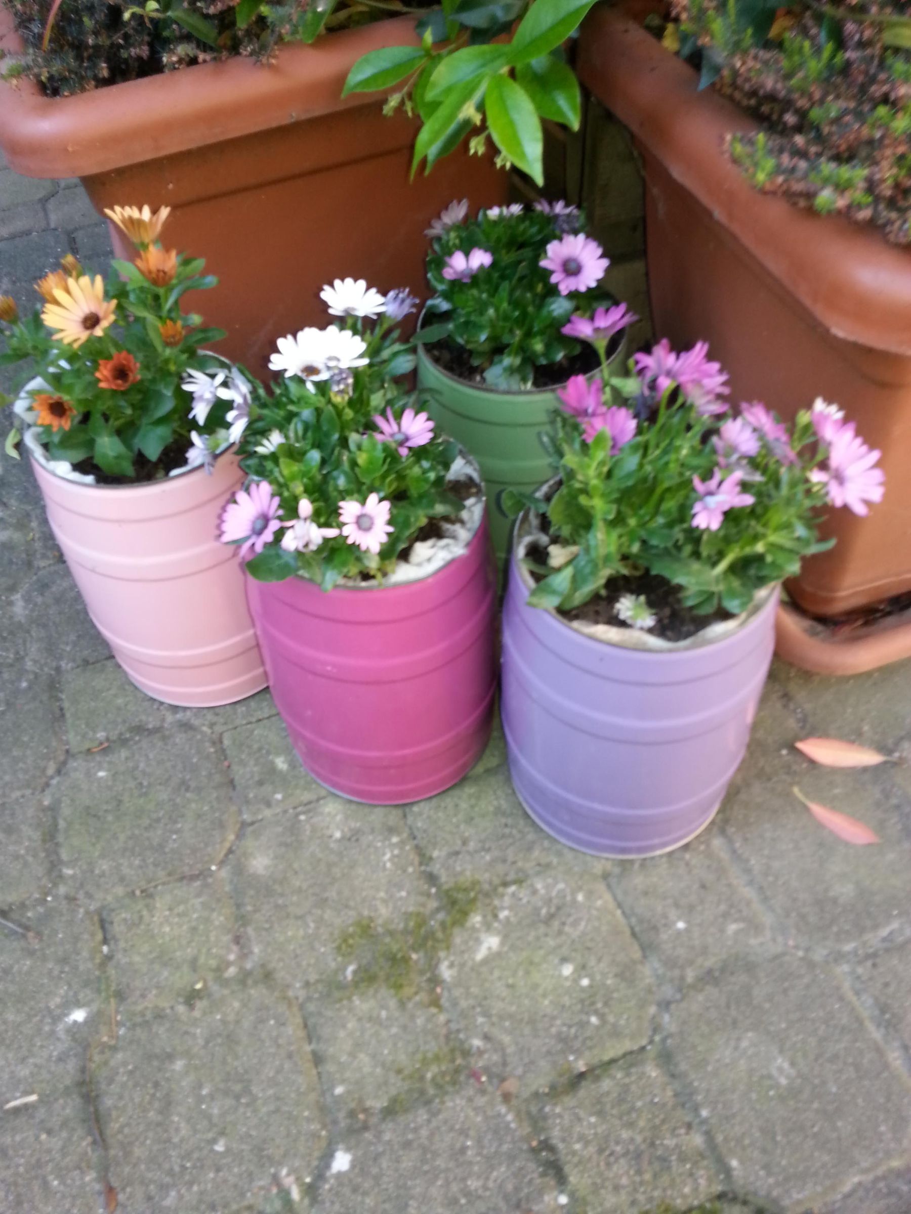 5l Beer Keg Planter VERTICAL GARDEN UPGRADE 7 Steps (with Pictures