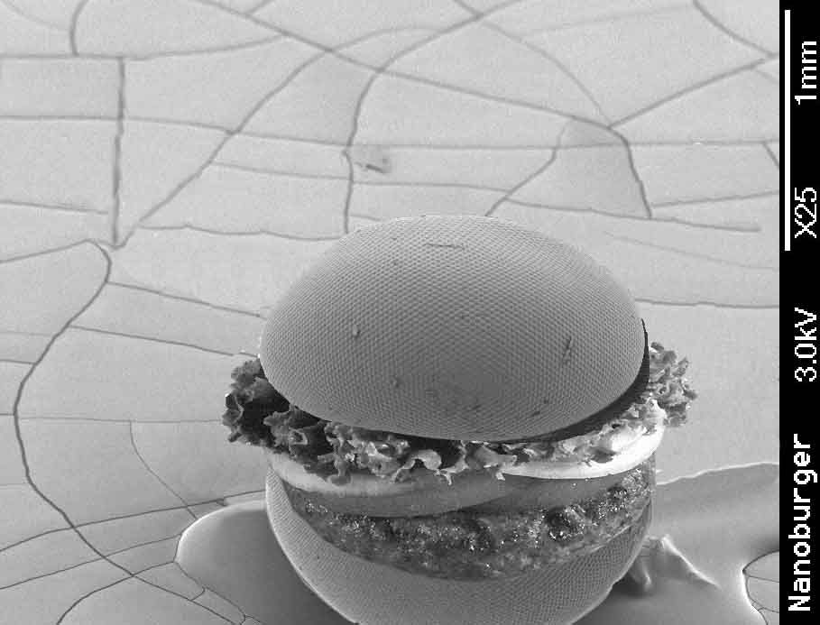 Nano_Burger