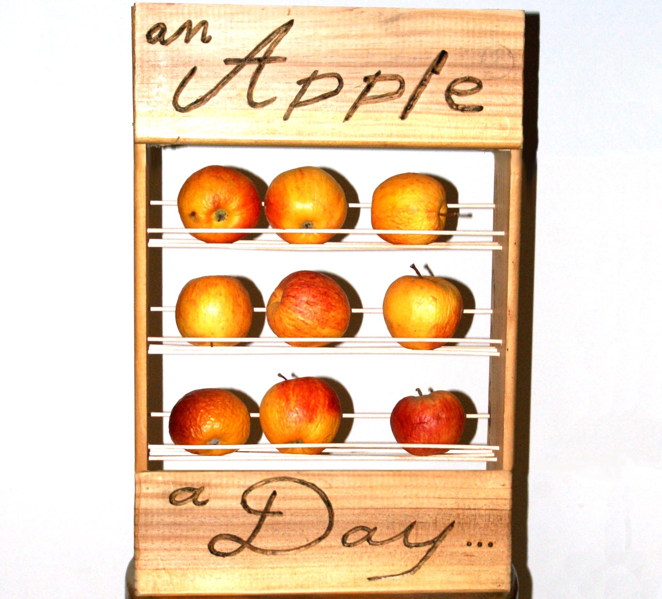 Health Fruit Rack : an Apple for the Road.