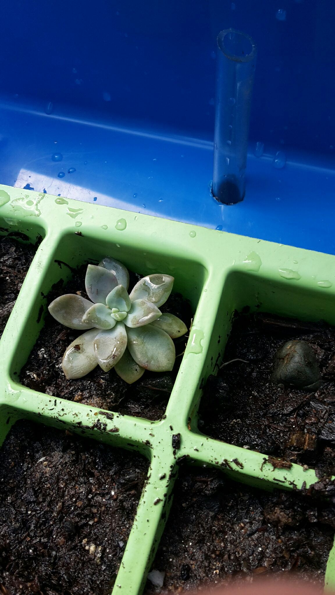 Solar Powered Watering Circulation  System
