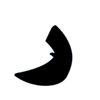 download {{ file.name }}