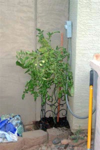 The Doggy Garden Fence