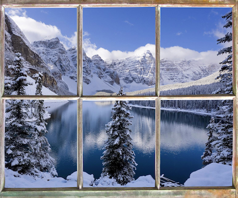 Windowless Office Windows