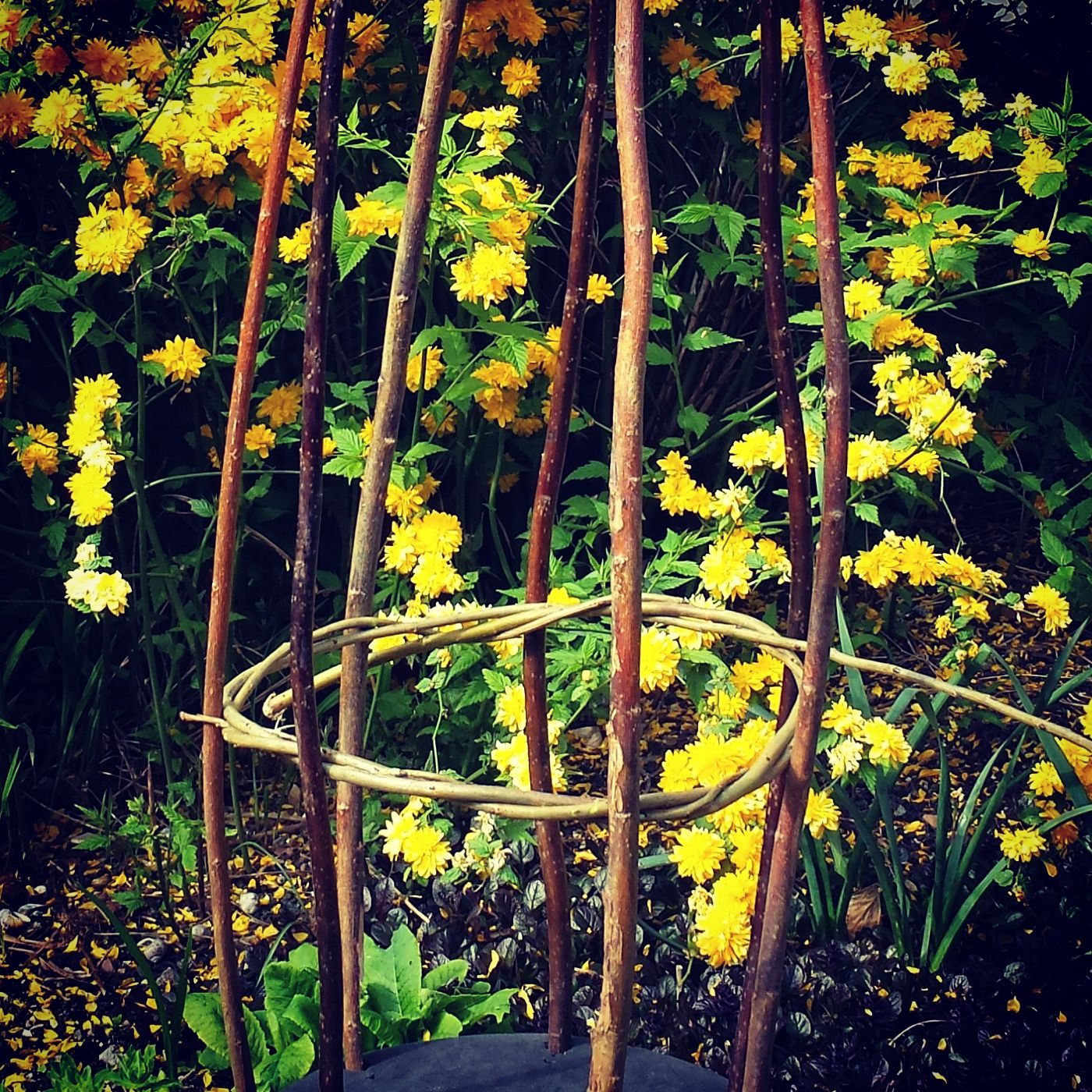 Willow Plant Support 9 Steps Instructables