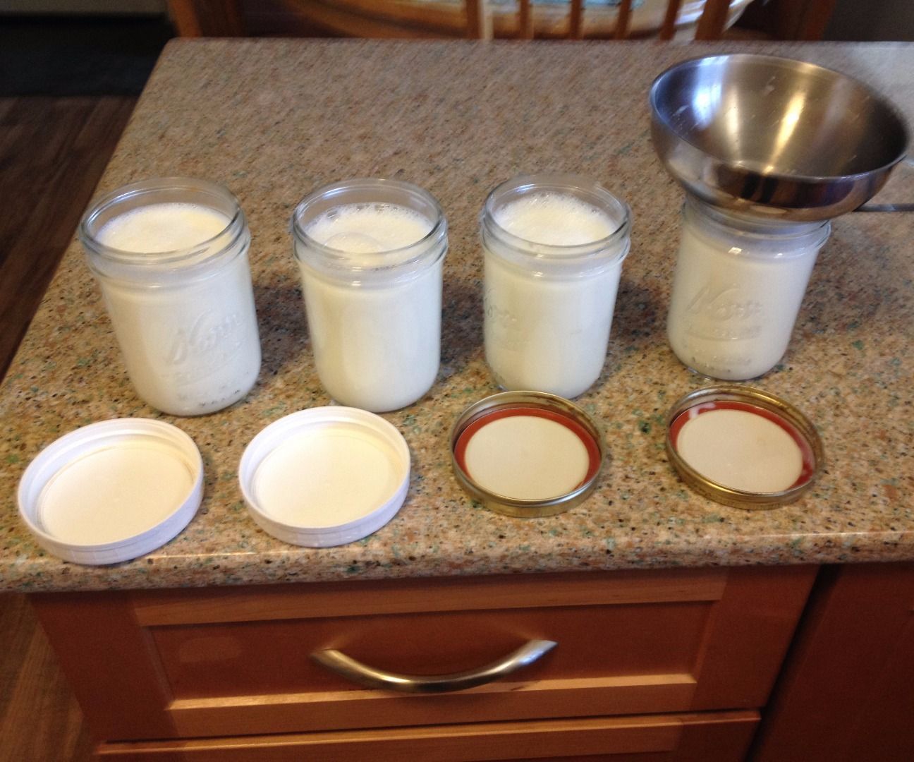 Easy Homemade Yogurt