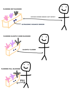 Interactive Blooming Lotuses!