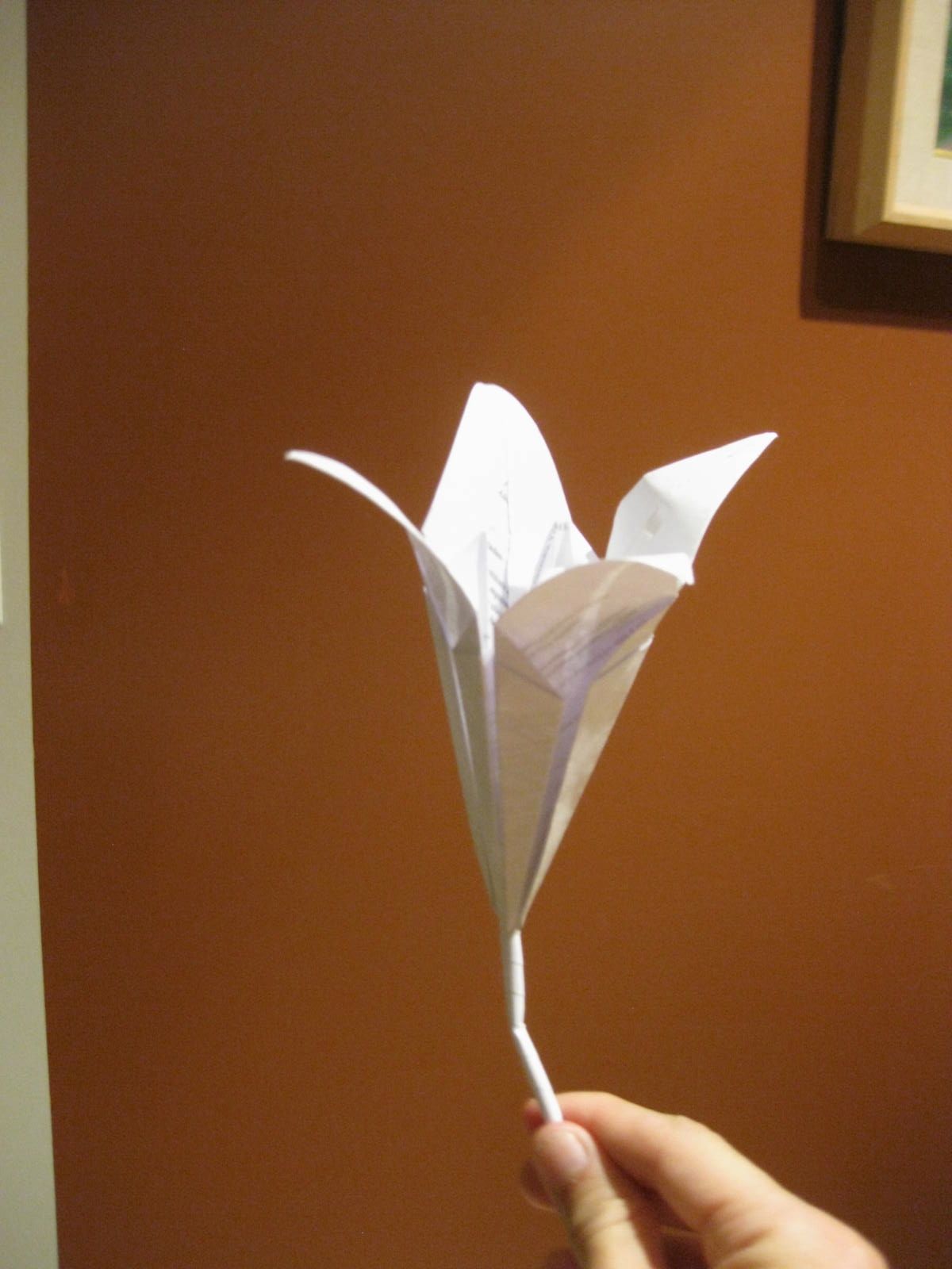 Origami: Lily Tulip Flower