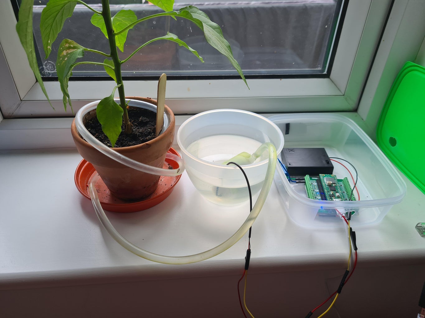 PlantyPi - Raspberry Pi Pico Plant Watering Device. : 6 Steps (with ...