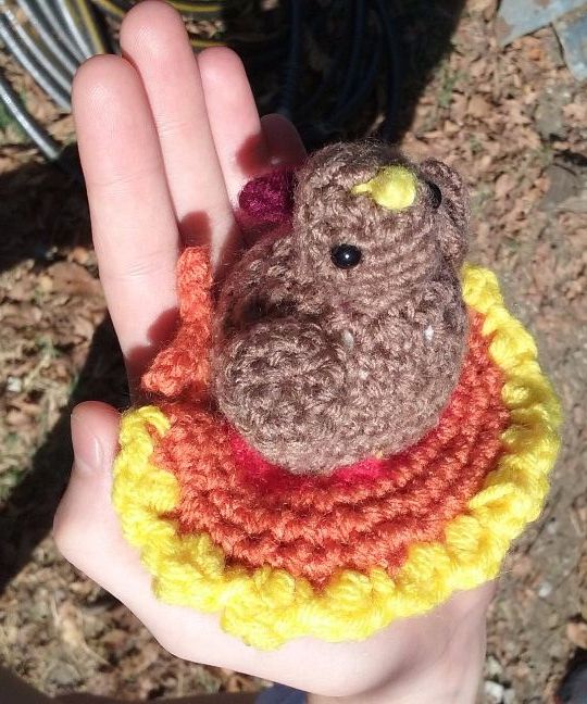 Easy and Cute Amigurumi Thanksgiving Turkey