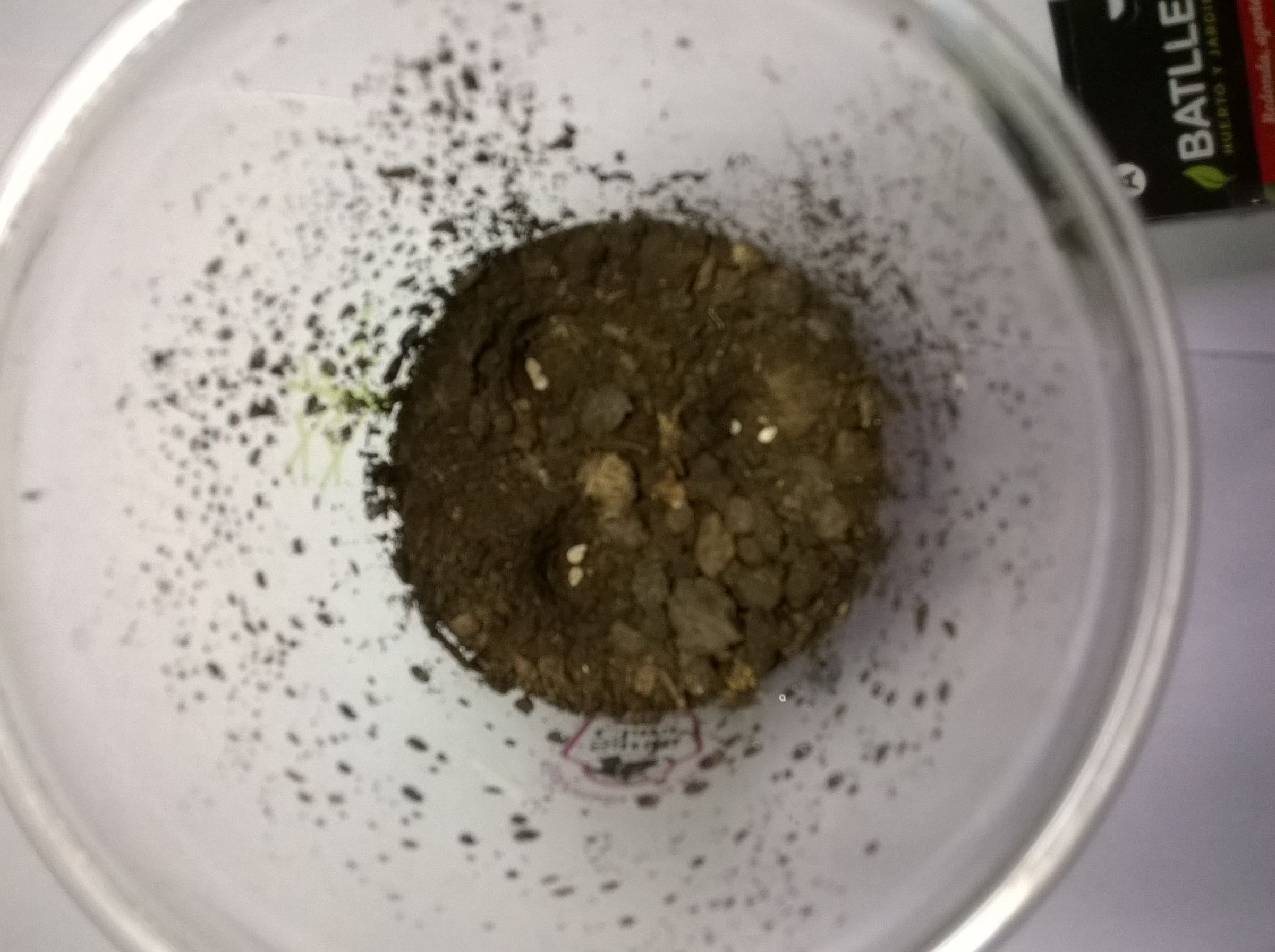 How to Make a Seedbed With Recycled Material 5 Steps (with Pictures