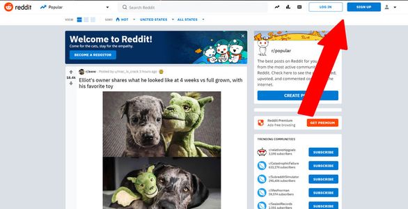 Reddit Reply Bot : 10 Steps - Instructables