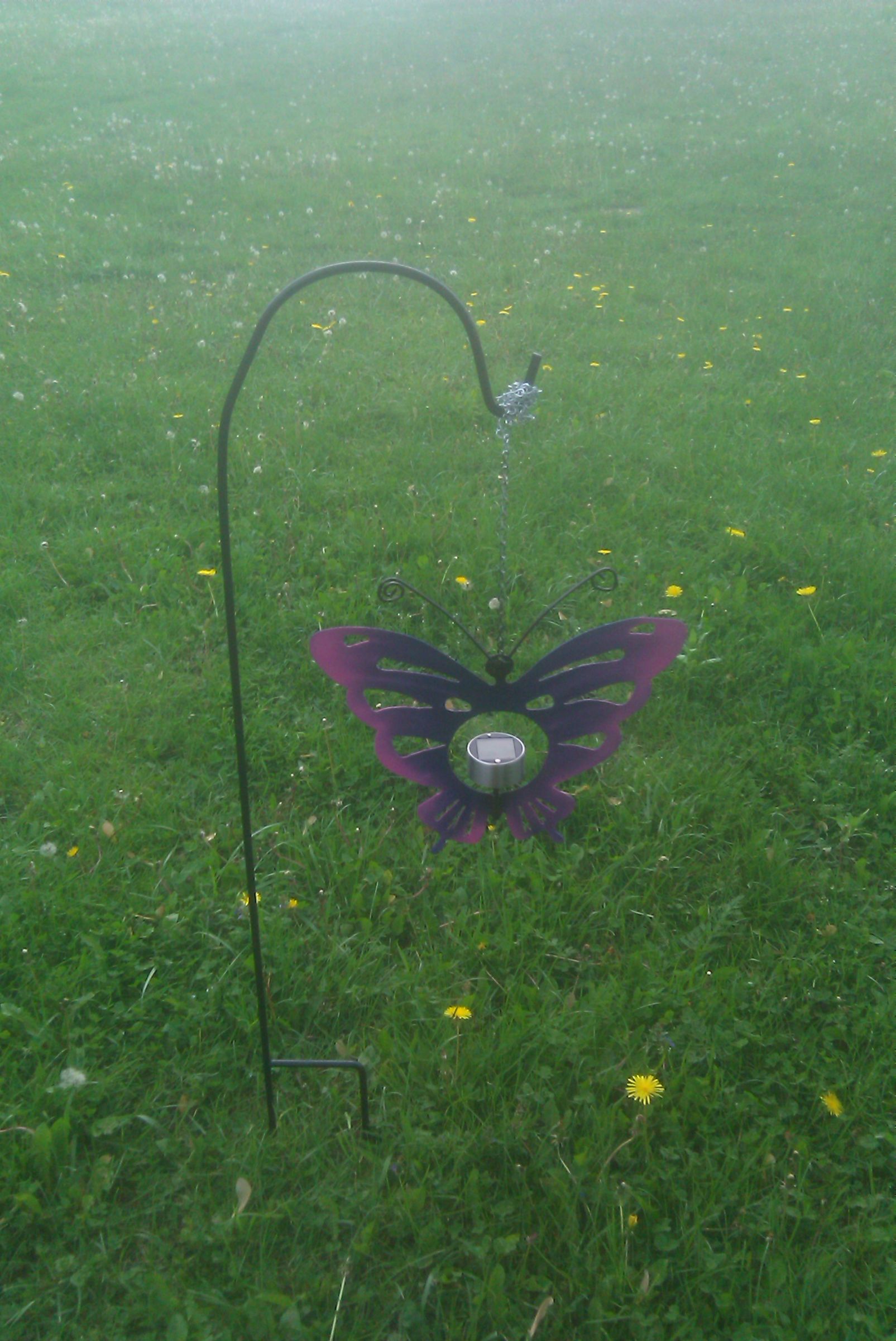 Mothers Day  Butterfly