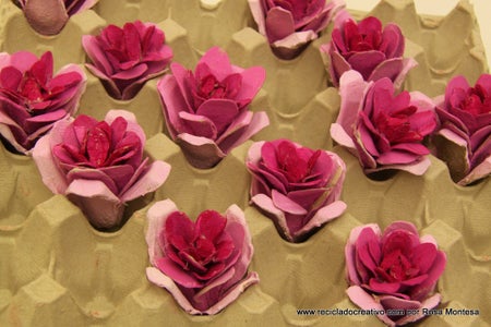 Roses Out of Egg Cartons