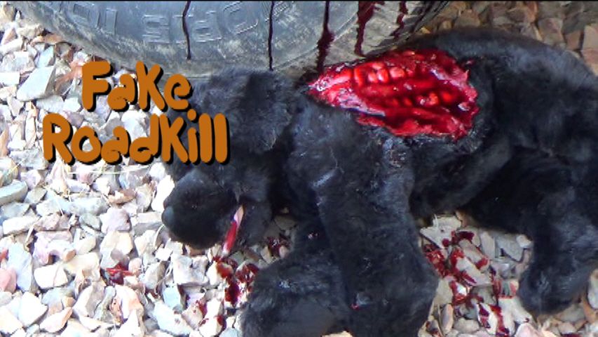 Fake Roadkill (Halloween Decorations)