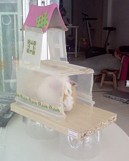 Hamster &amp; Guinea pig's bedroom (castle rarther)