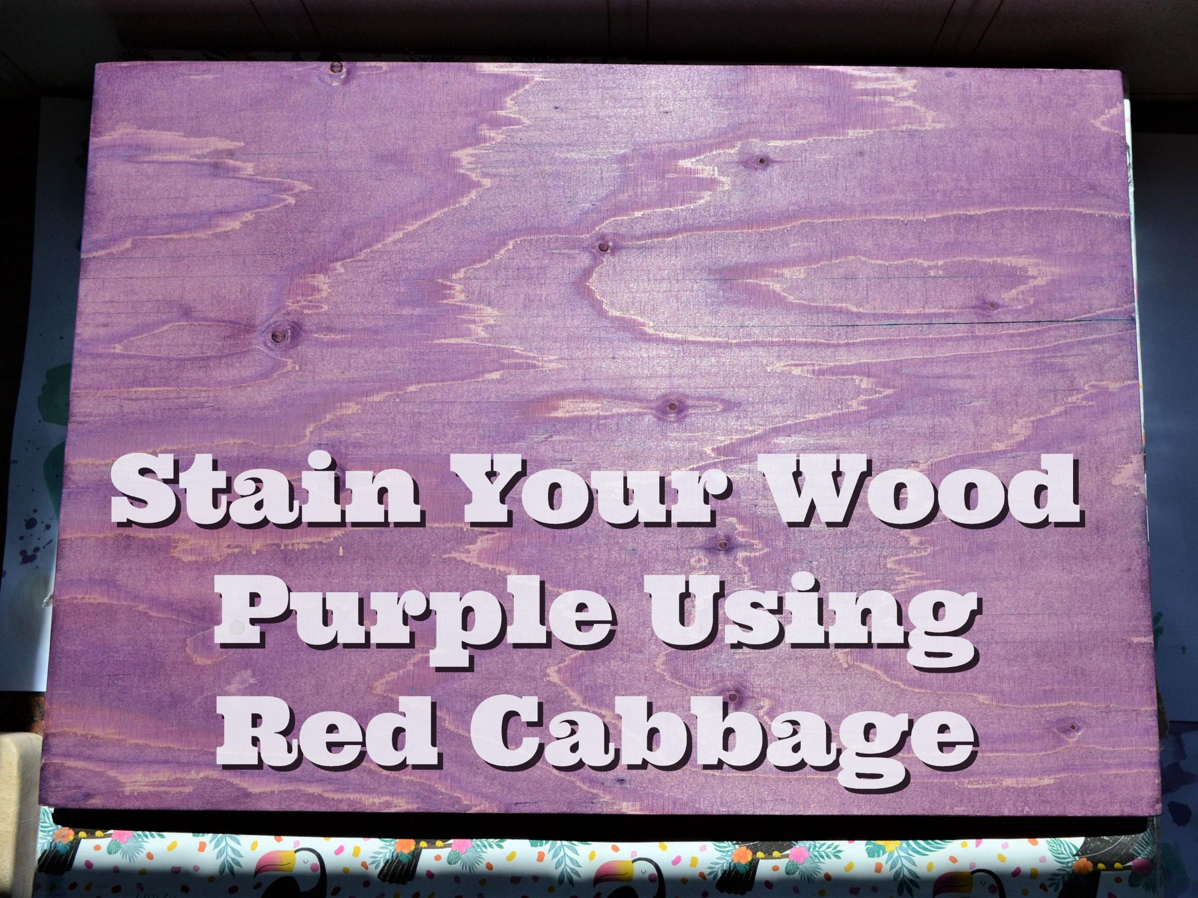 Stain Your Wood Purple Using Red Cabbage : 6 Steps (with Pictures