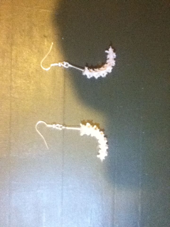 Snake Bone Jewelry