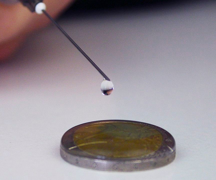 5 Amazing Science Tricks to Make With Your Friends!!!