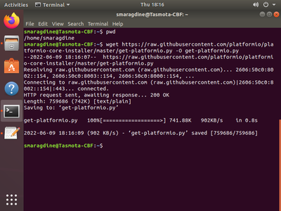 Installation of Esptool, Access GIT Repo, and Test Build.