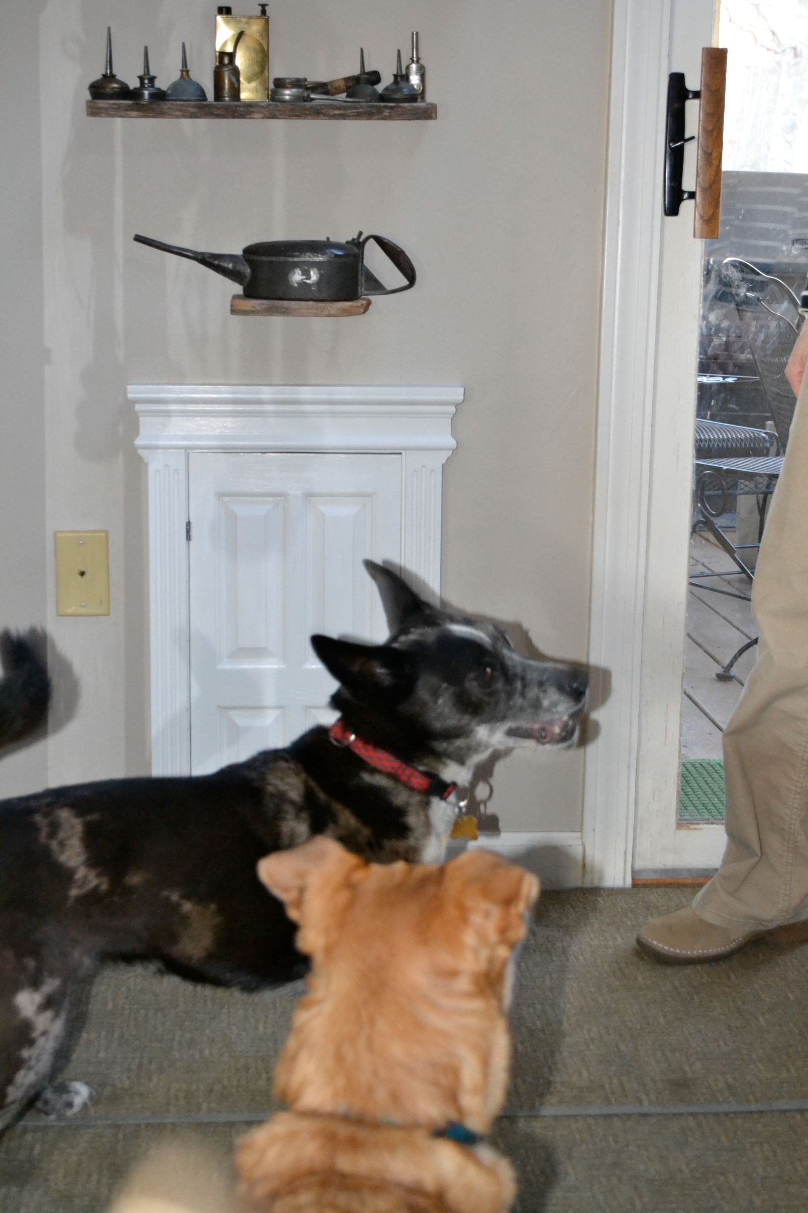 High Class Dog Door Instructables