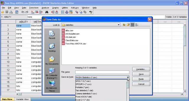 Data to or From Excel: SPSS (4.8)
