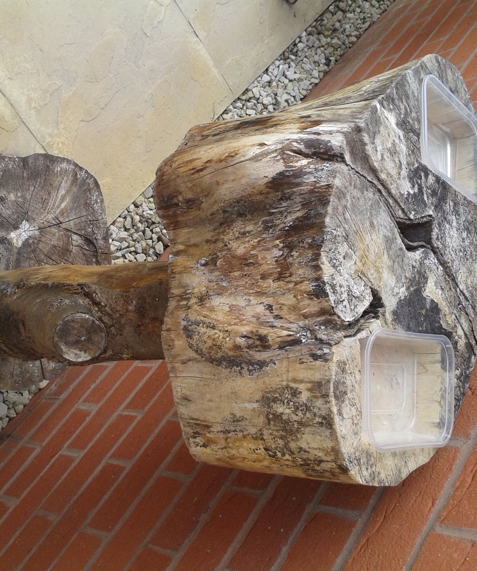 Log Bird Bath 