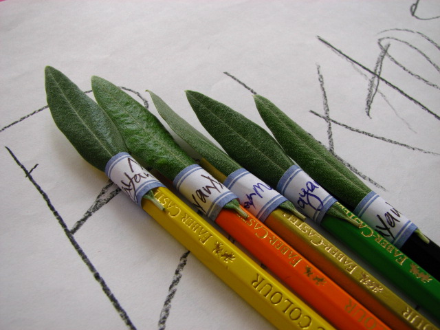 Green Your Stationery