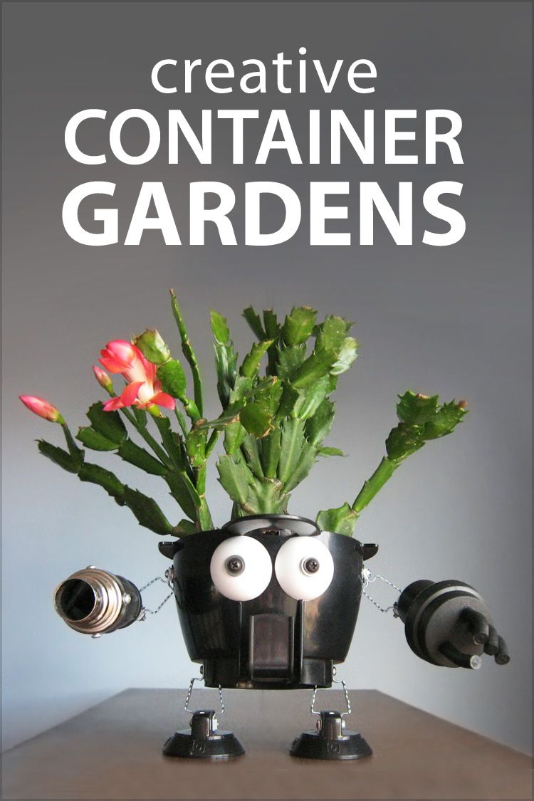 Collection Cover Image: Creative Container Gardens