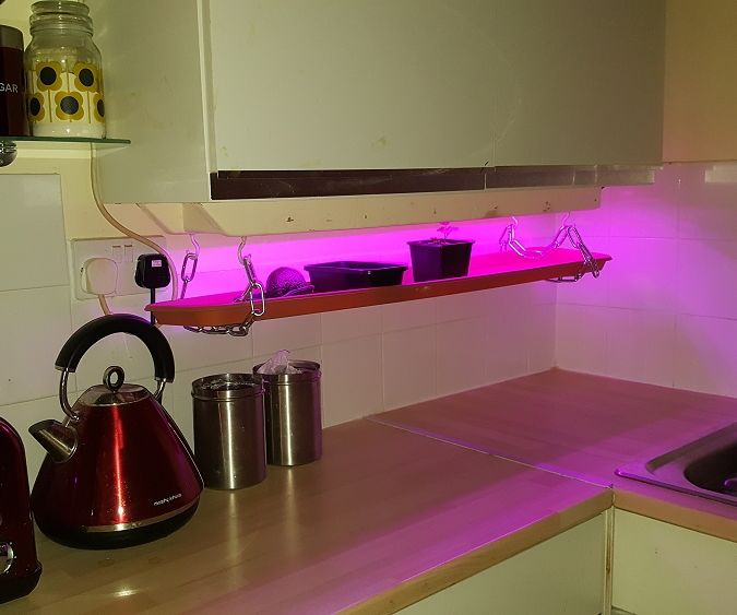 Home made Micro Garden