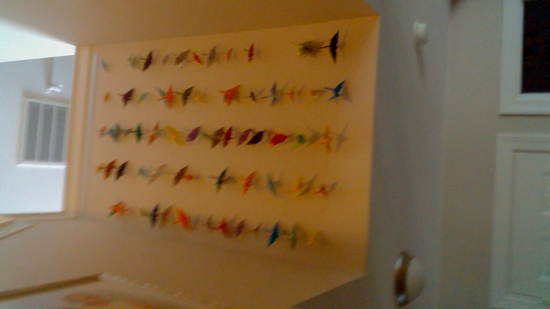 Origami Crane Wall Display