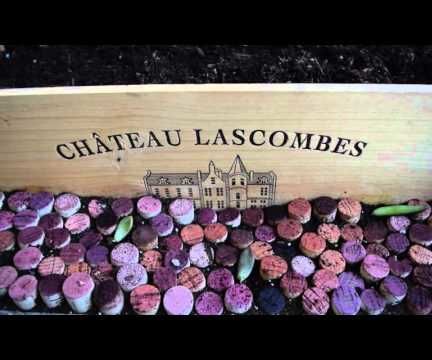 Wine Cork Garden Edging