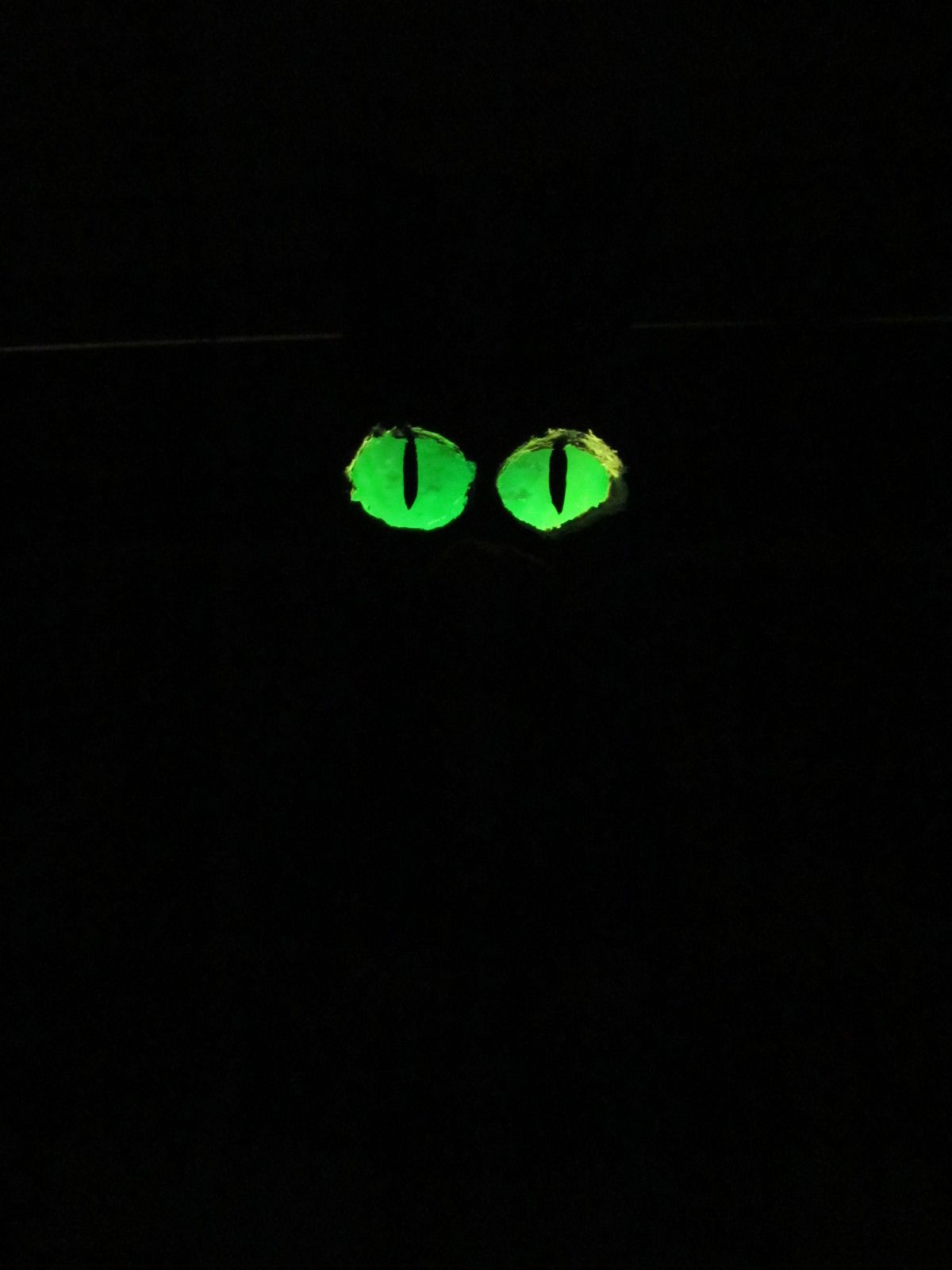 Glowing Cat Eyes