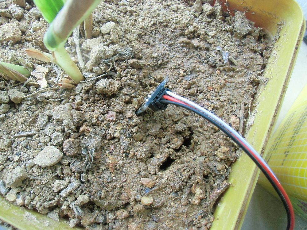 Install the Soil Moisture Sensor