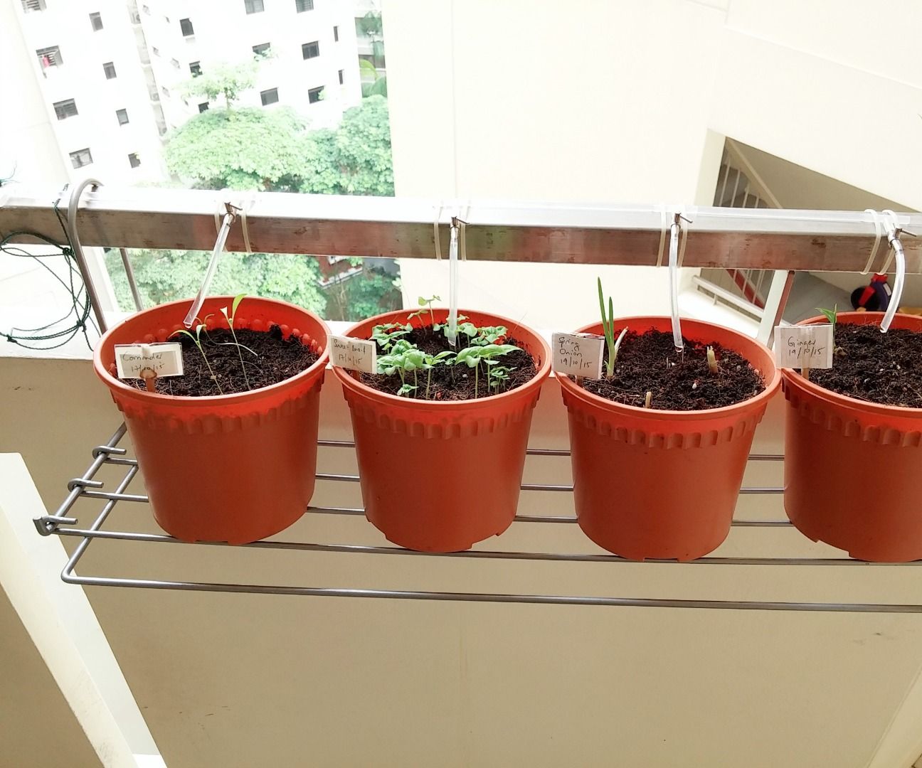 Home DIY Gravity Drip Irrigation for Herbs and Plants