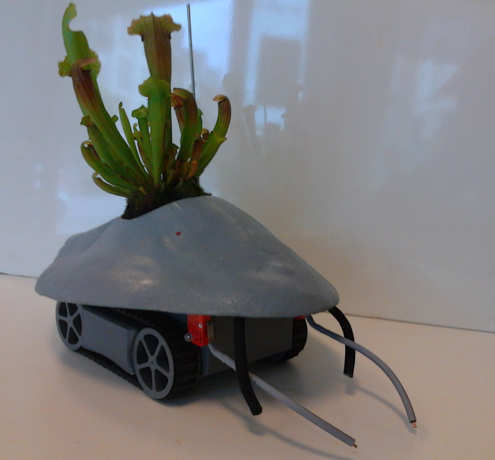 Plant Host Drone