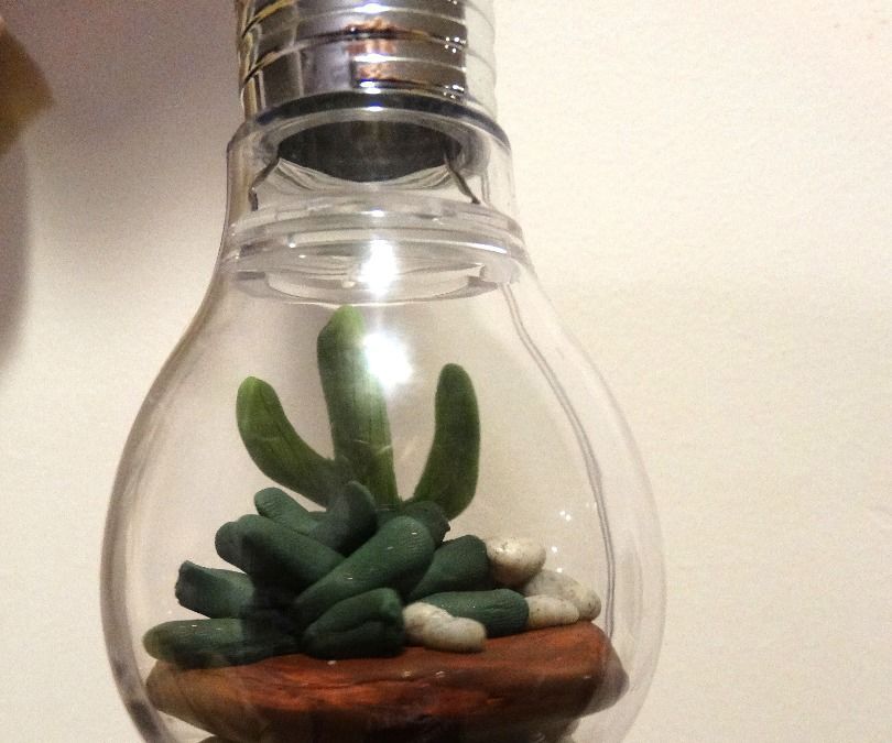 Hanging Lightbulb Terrarium (using Clay)