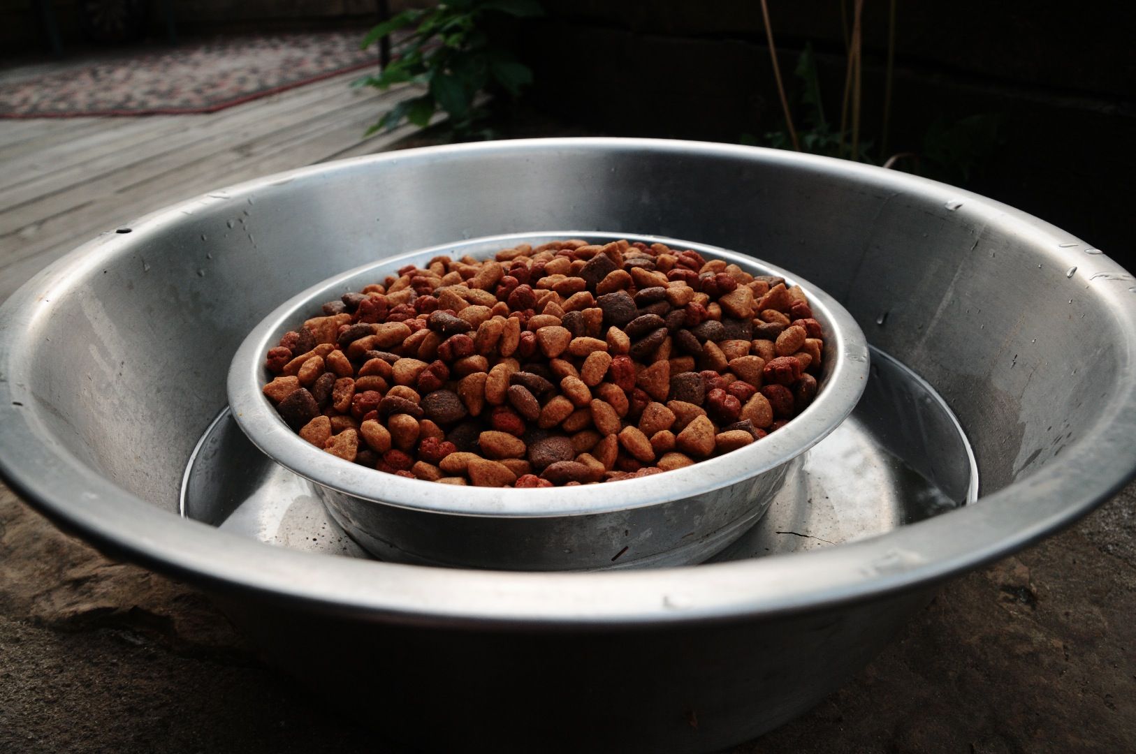Combine Dog Food and Water Bowl to Defend Against Ants. Keeping Ants