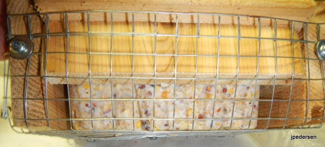 Filling the Feeder