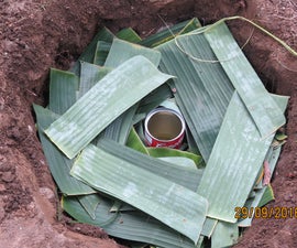 Vegetation