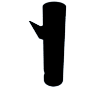 download {{ file.name }}