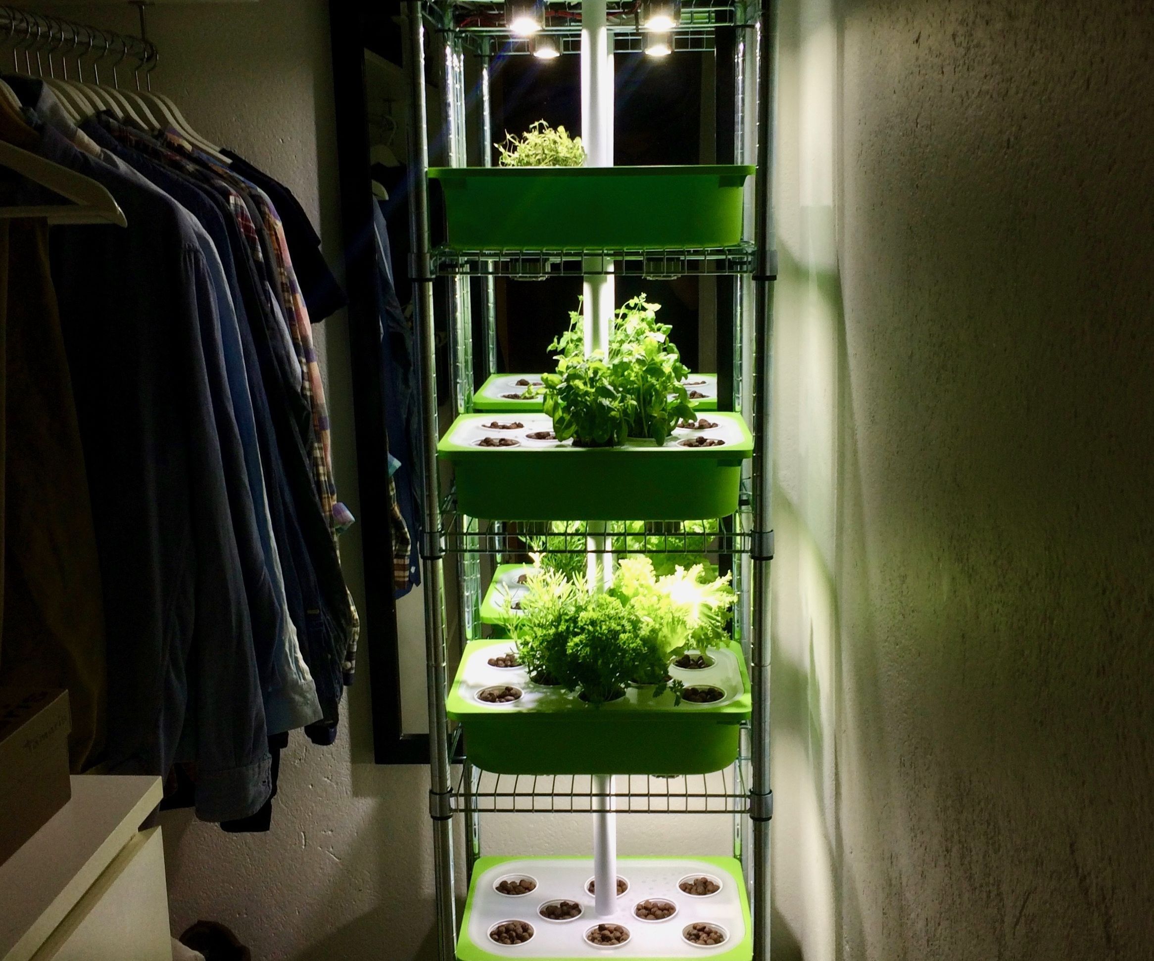 Indoor Hydrogarden 