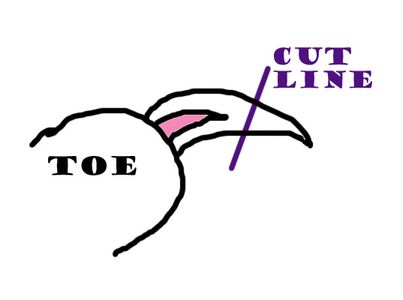 Trim Your First Nail!