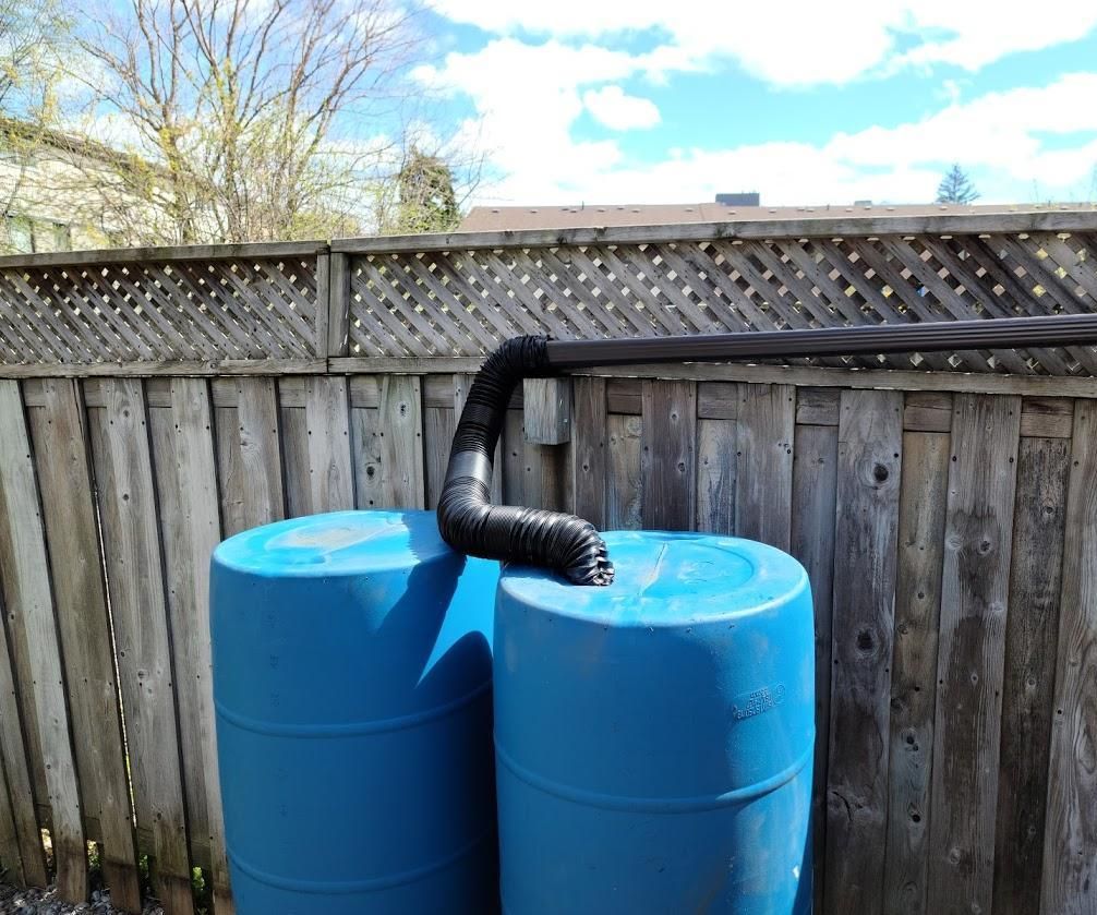 Rain Barrel